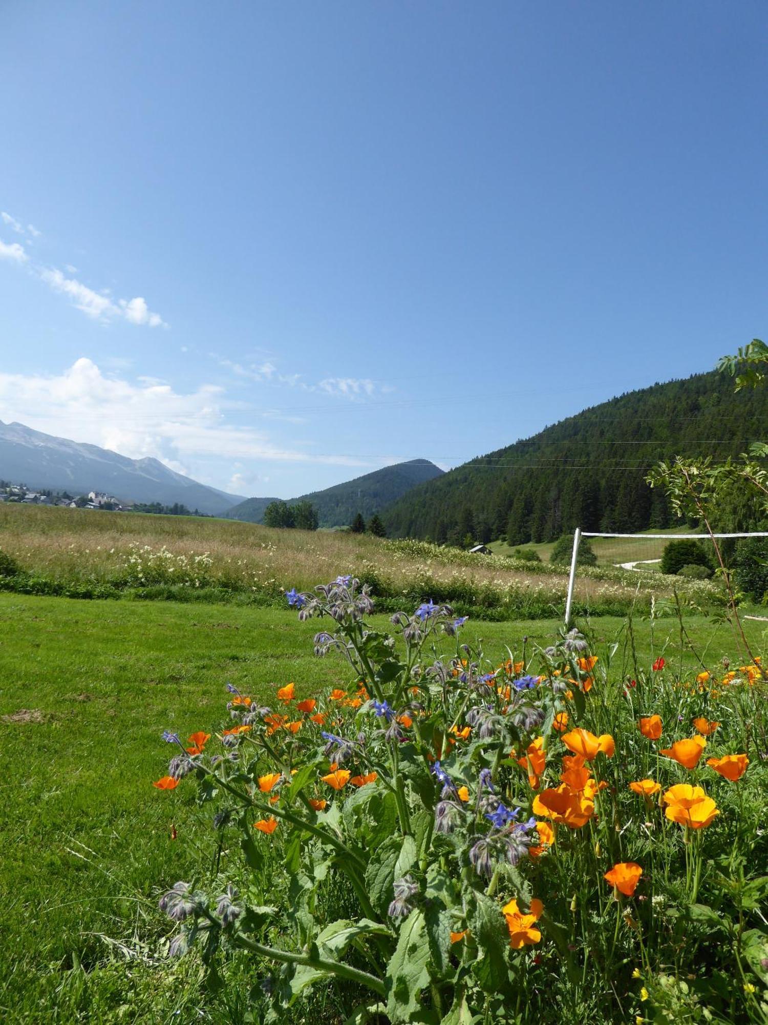 Ferme De La Grande Moucherolle Villard-de-Lans Exteriér fotografie